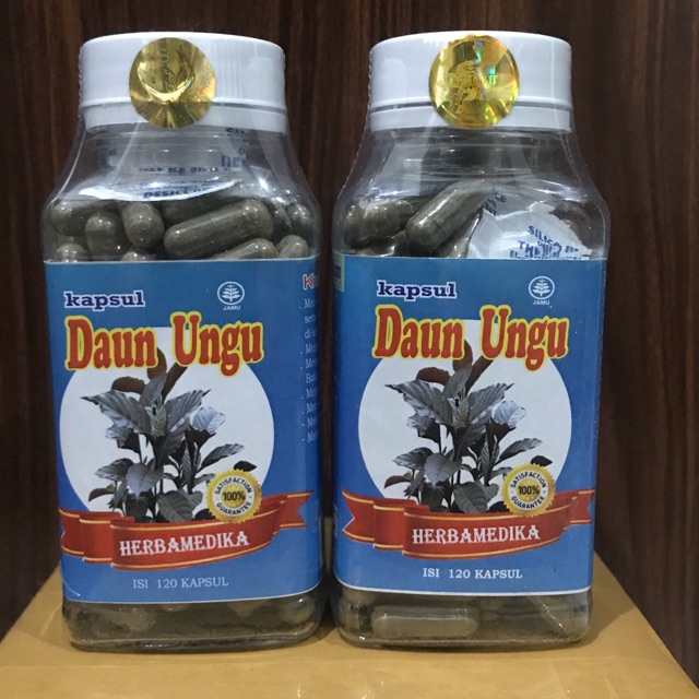 Jual Kapsul Daun Ungu 120 Kapsul Herbamedika Shopee Indonesia