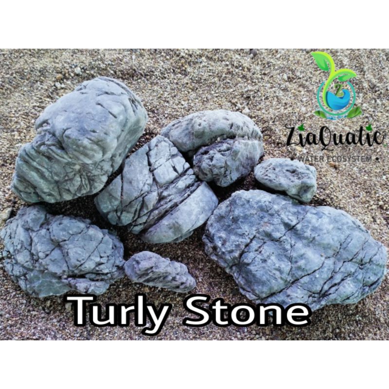 Jual Batu Aquascape/Batu Turly/Hiasan Aquarium/Iwagumi/Natural Aquarium ...