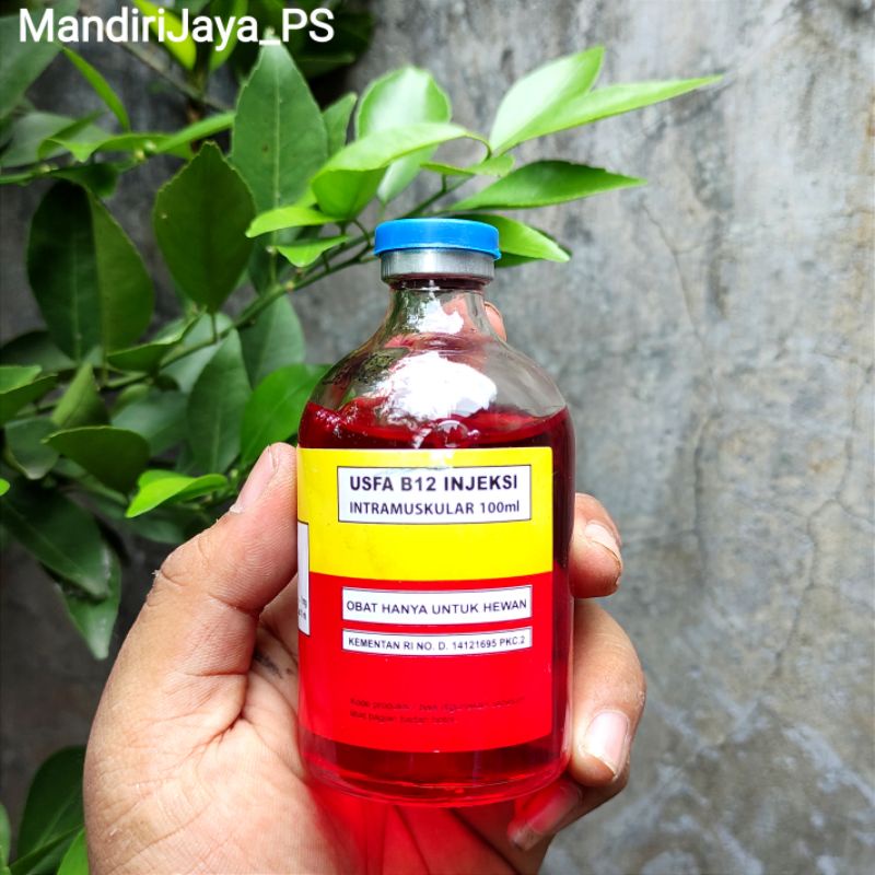 Jual Vitamin B12 100ml - Mencegah Anemia Kuning Pucat Pada Ayam Kuda
