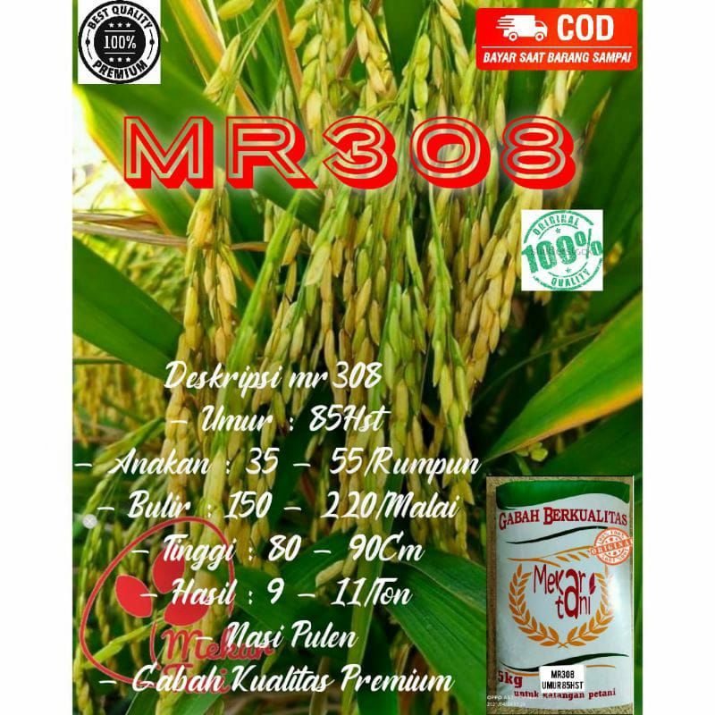 Jual Benih Unggul Mr 308 Kemasan 5kg Shopee Indonesia