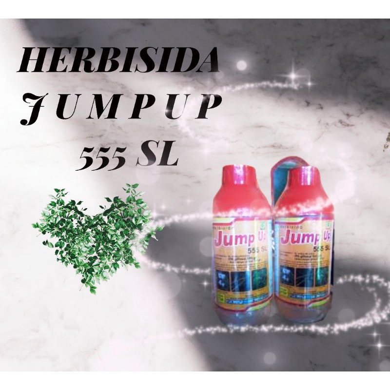 Jual Herbisida Sistemik Jump Up Pembasmi Rumput Dengan Dosis 555 Sl