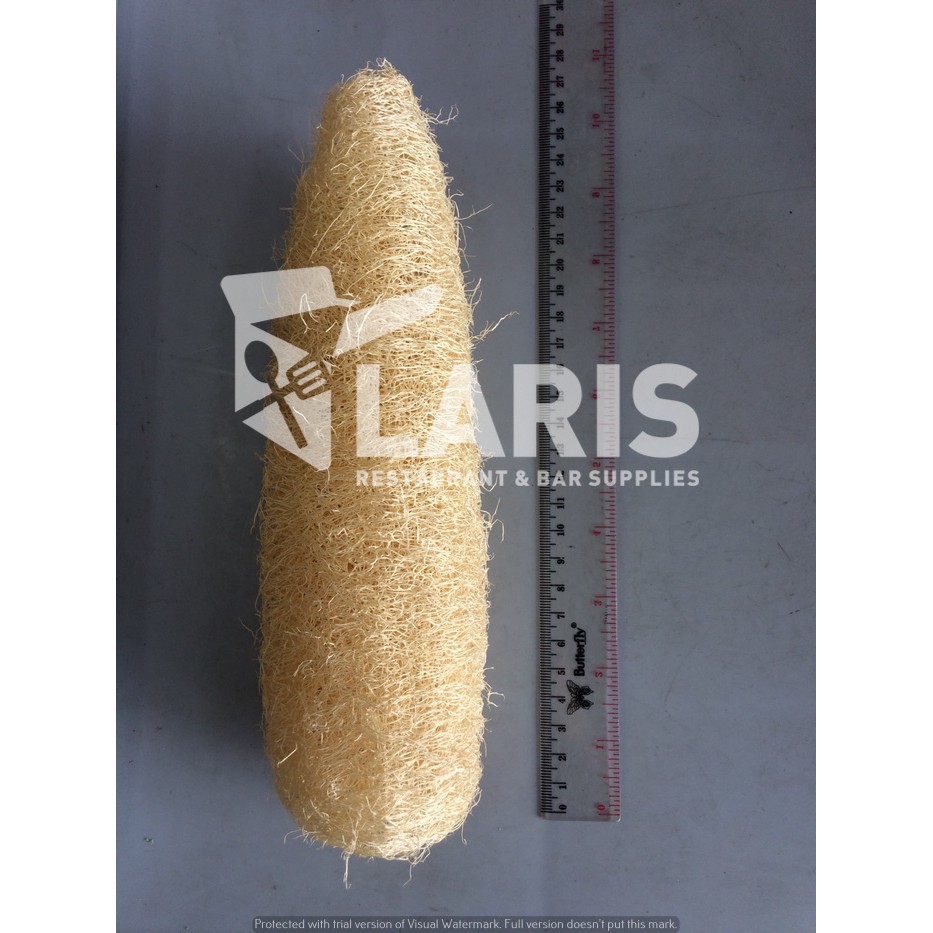 Jual Sabut Oyong Gambas Luffa Emes Loofah Bath Sabut Mandi Cuci