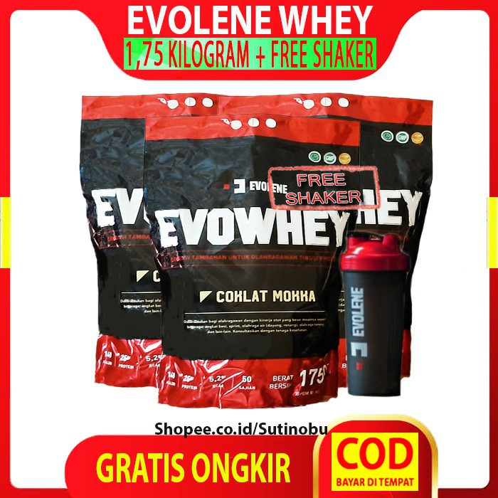 Jual Evolene Evo Whey Protein Rasa Coklat Moka 1750 gr 50 Sachet ...