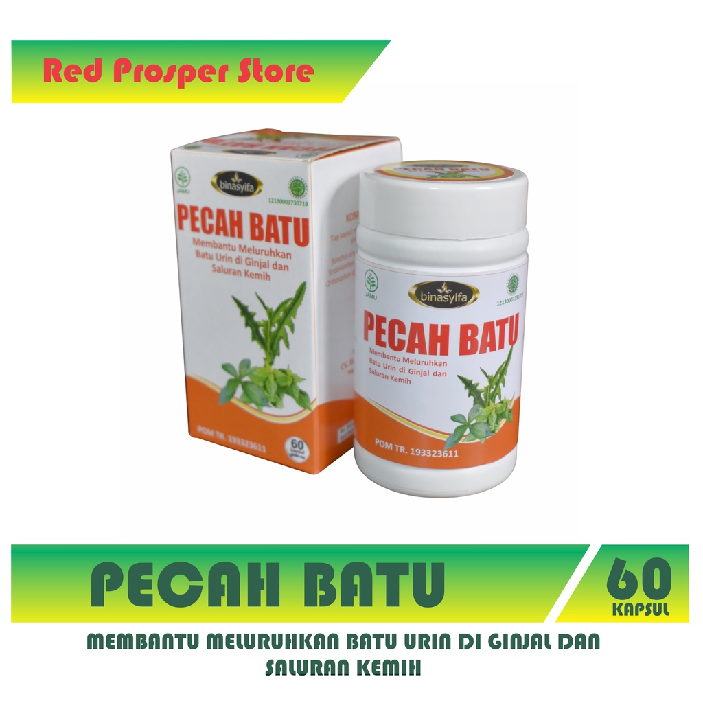 Jual PECAH BATU - Kapsul Herbal Batu Ginjal Susah Kencing Anyang-anyang ...