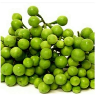 Jual Leunca/ Lenca / Ranti / Solanum Nigrum per 1Kg | Shopee Indonesia