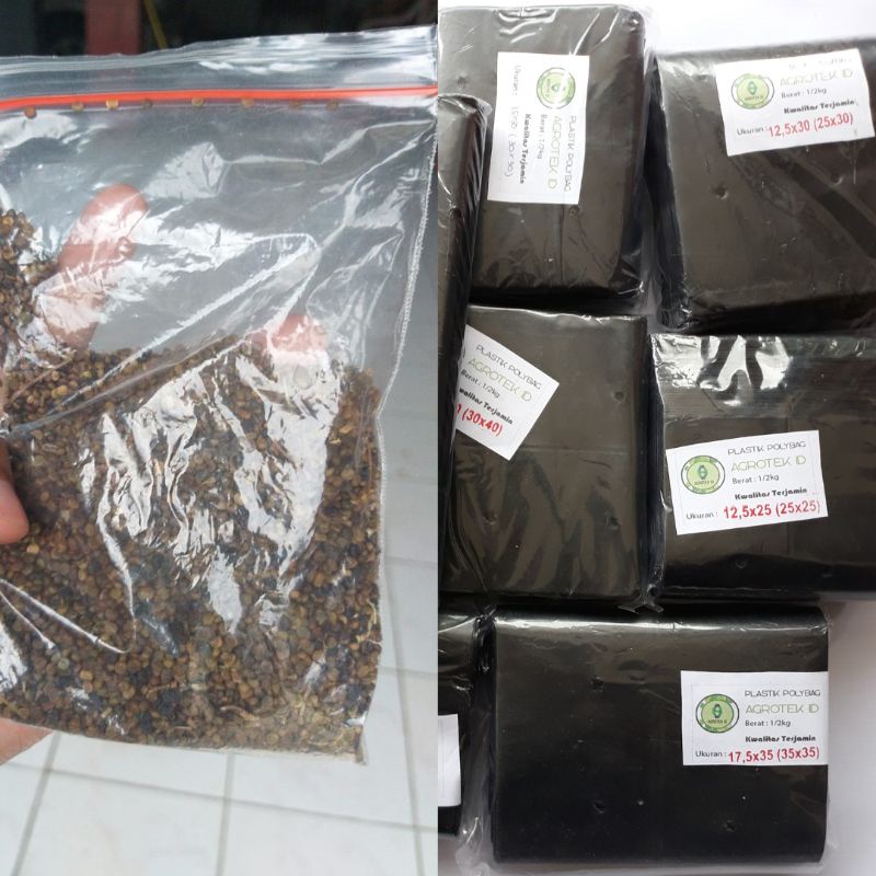 Jual Benih Indigofera Polybag Paket Murah Siap Tanam Shopee Indonesia 8783