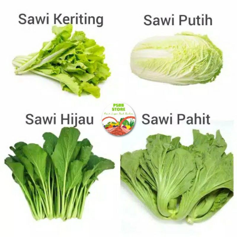 Jual Sayur Sawi Putih Sawi Hijau Sawi Pahit Caisim Sawi