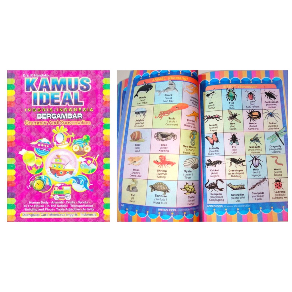 Jual KAMUS IDEAL BERGAMBAR FULL COLOR KAMUS BAHASA INGGRIS-INDONESIA ...