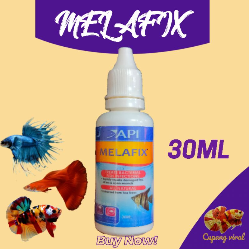 Jual API MELAFIX Original USA - Obat Ikan Cupang dan Ikan Hias Lainnya ...