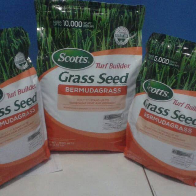 Jual Benih Biji Rumput Grass Seed Bermuda Biji Rumput Lapangan Sepak