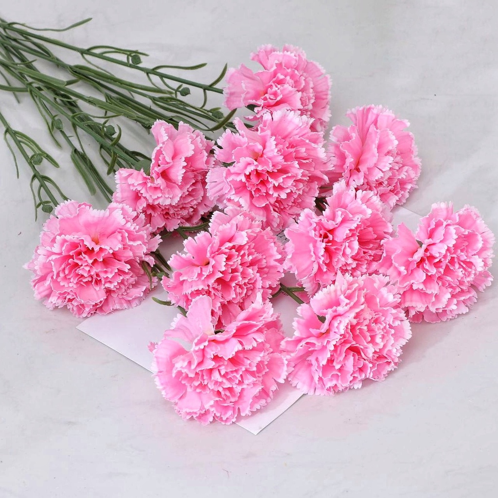 Jual Setangkai Bunga Anyelir Carnation Tanaman Hias Bunga Carnation ...