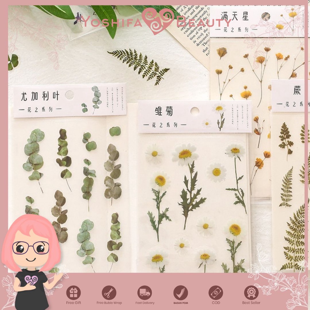 Jual Sticker PET Transparan Bunga Daisy Clover | Vintage PET Sticker ...