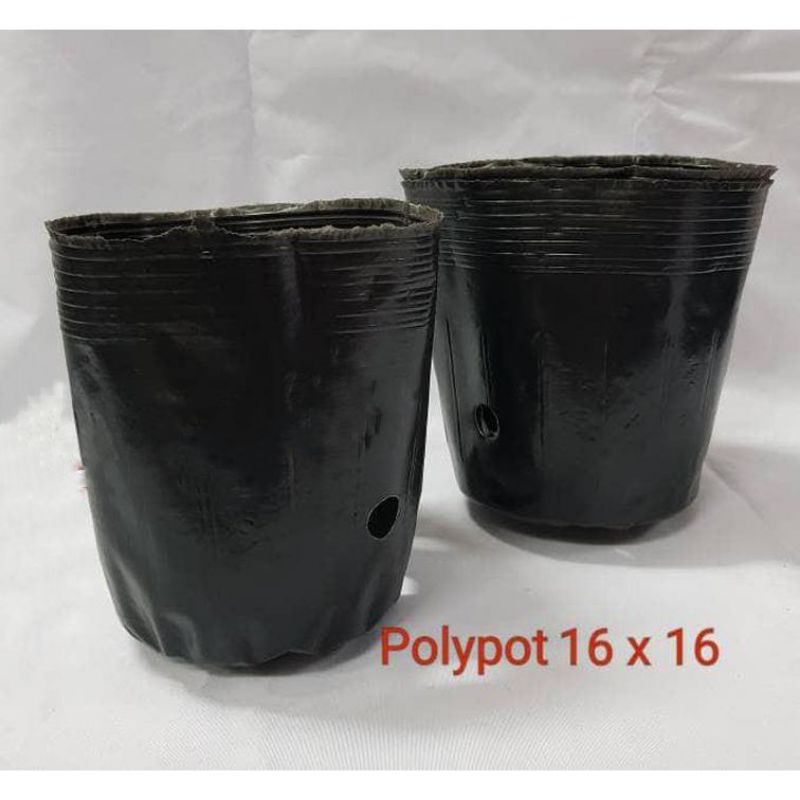 Jual POLYPOT POLYBAG BENTUK POT SEMAI BIBIT TANAMAN 16 x 16 NEW ...