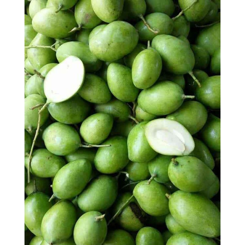 Jual mangga muda segar/mangga rujak cocok buat yang lagi ngidam 1kg ...