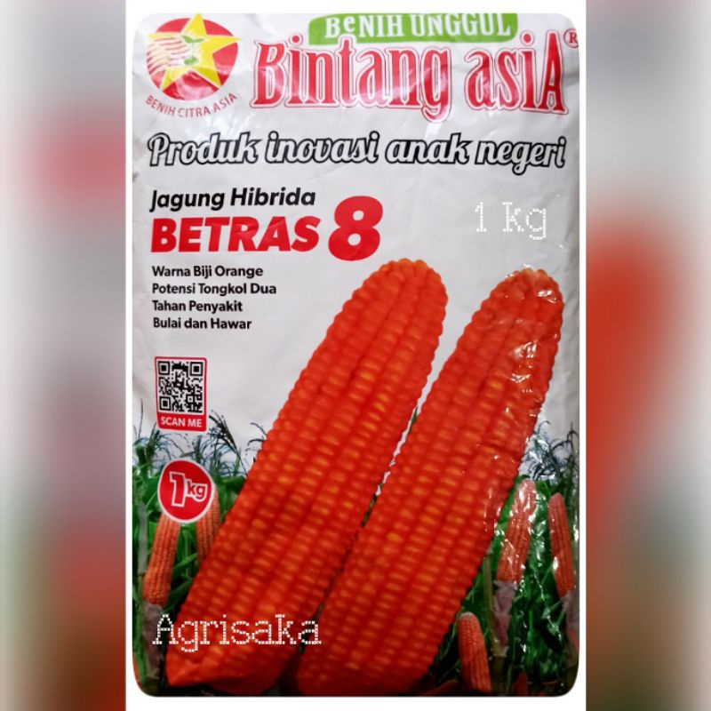 Jual Benih Jagung Hibrida BETRAS 8 F1 1000 Gram - Bintang Asia | Shopee ...