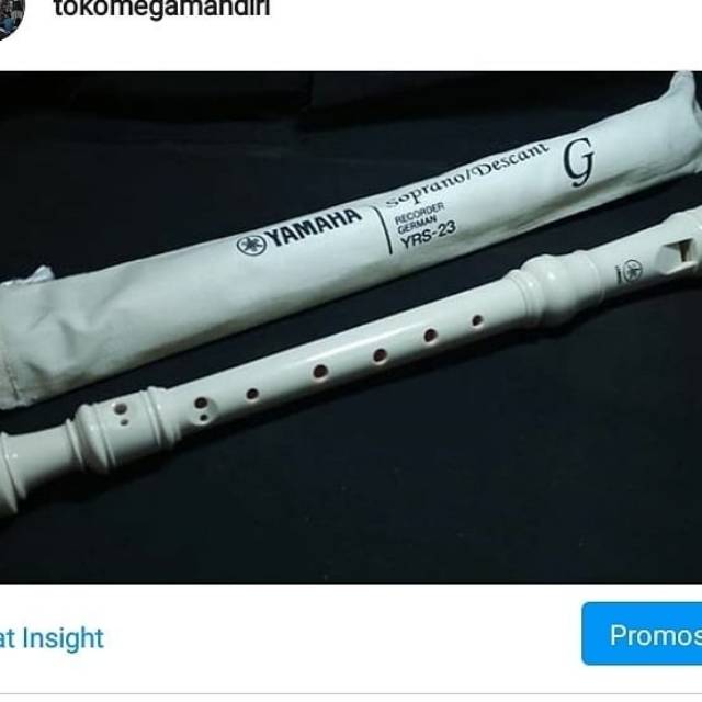 Jual Seruling Recorder Yamaha Shopee Indonesia