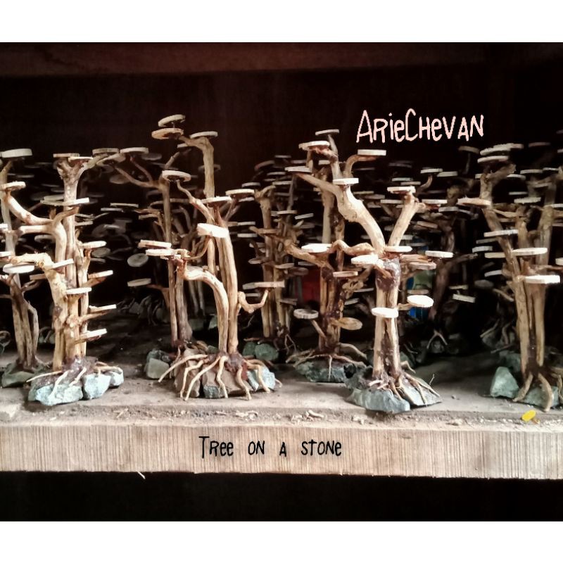 Jual bahan pohon bonsai aquascape akuarium tree on a stone belum ...