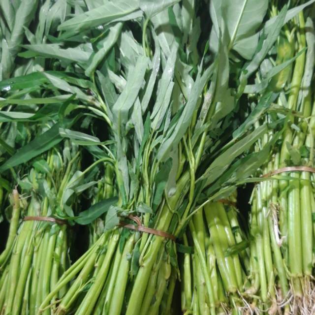 Jual Sayur Kangkung 1 Ikat Shopee Indonesia