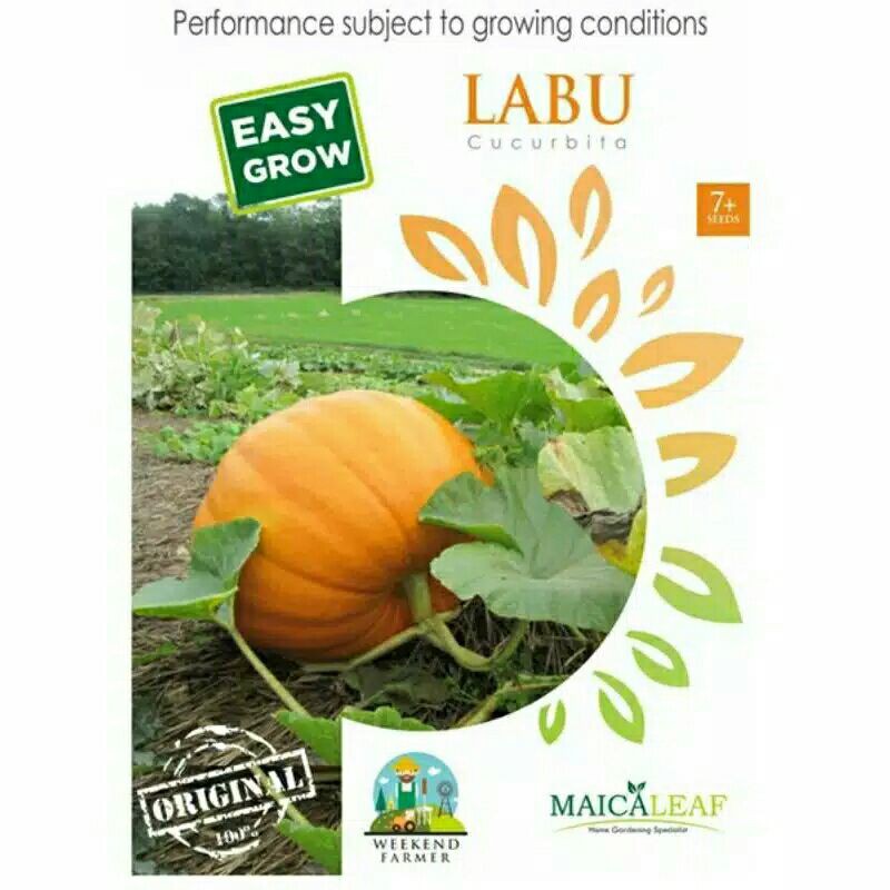 Jual labu isi 4biji | Shopee Indonesia