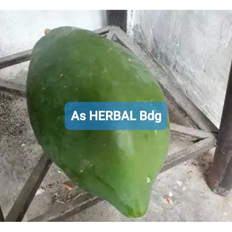 Jual Buah Pepaya Muda Pepaya Segar 1 Kg Shopee Indonesia