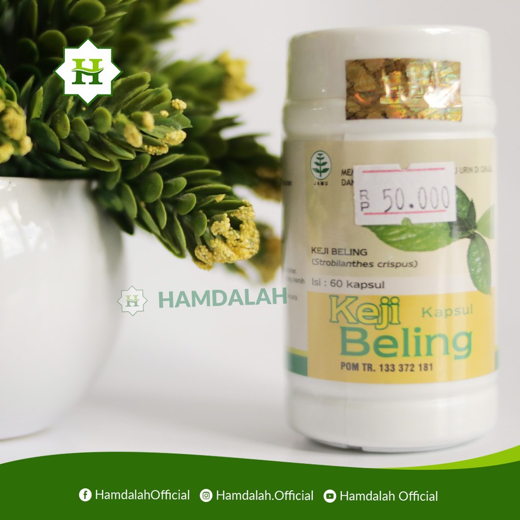 Jual KEJI BELING OBAT HERBAL BATU GINJAL 60 KAPSUL | Shopee Indonesia