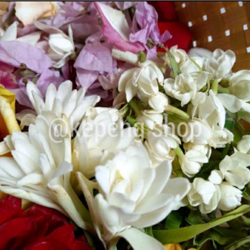 Jual BUNGA / KEMBANG 7 RUPA SEGAR MURAH | Shopee Indonesia