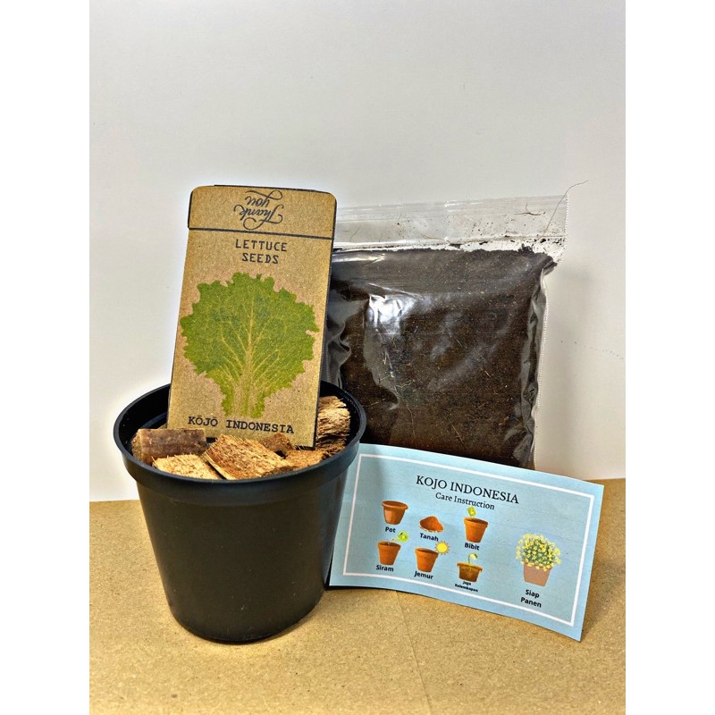 Jual Lettuce Grow Kit ( Paket Siap Tanam Selada AIr ) Shopee Indonesia