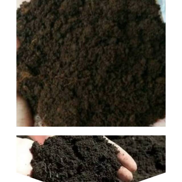 Tanah hitam/tanah Lembang asli 10 kg