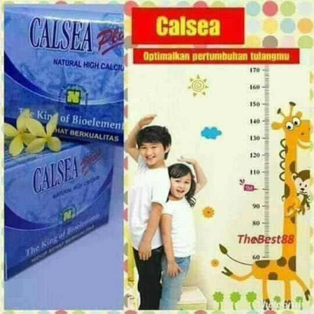 Jual Calsea | Shopee Indonesia