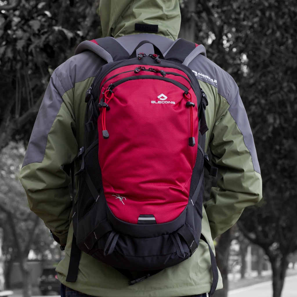 Jual Blecons backpack tas ransel art spyder 30 liter | Shopee Indonesia