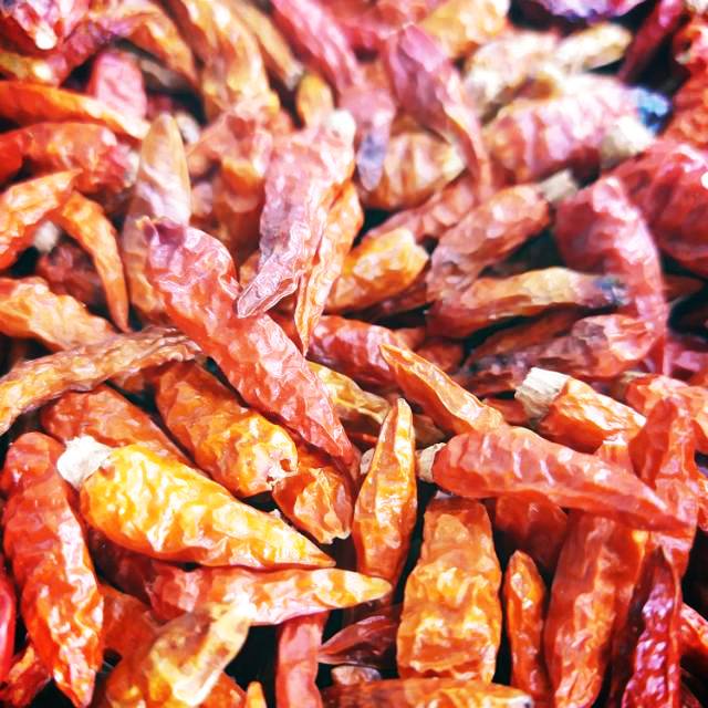 Siling Labuyo Pepper Seeds Capsicum Frutescens Filipi vrogue.co