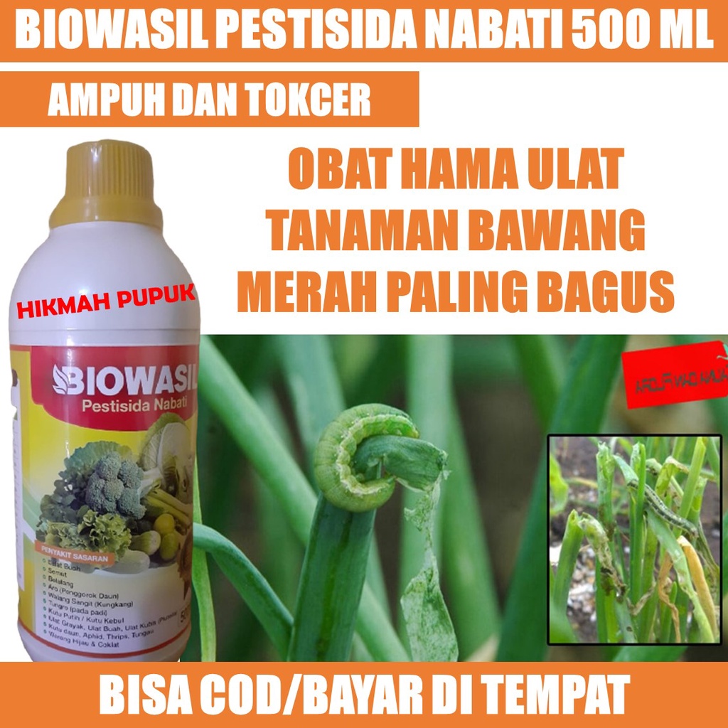 Jual Cod Biowasil 500 Ml Pestisida Hama Ulat Bawang Merah Bawang Daun Padi Obat Hama Ulat 3220