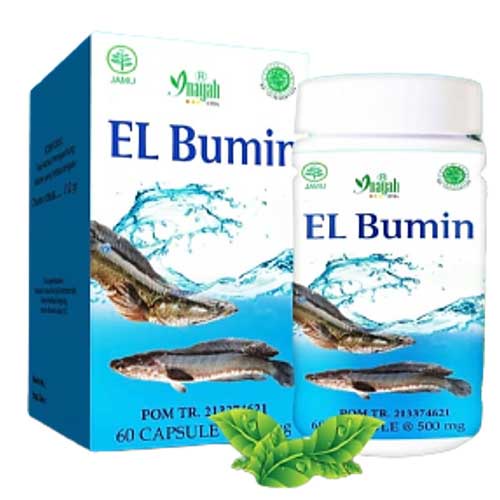 Jual Kapsul Albumin ganti El bumin Inayah 60 Kapsul / Ekstrak Ikan ...