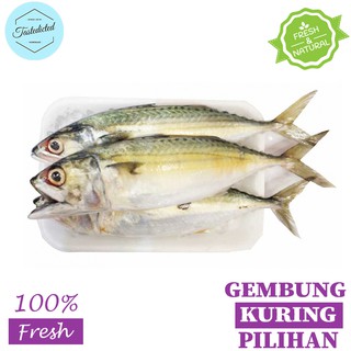 Jual IKAN GEMBUNG KURING / IKAN KEMBUNG KURING / IKAN KEMBUNG REBUS