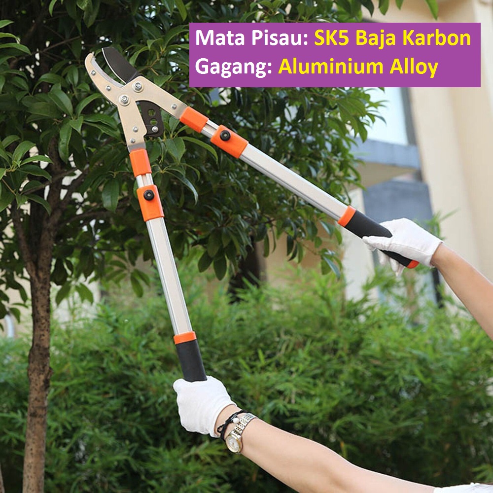 Jual Gunting Taman Ranting Tumbuhan Bunga Telescopic Garden Pruning ...
