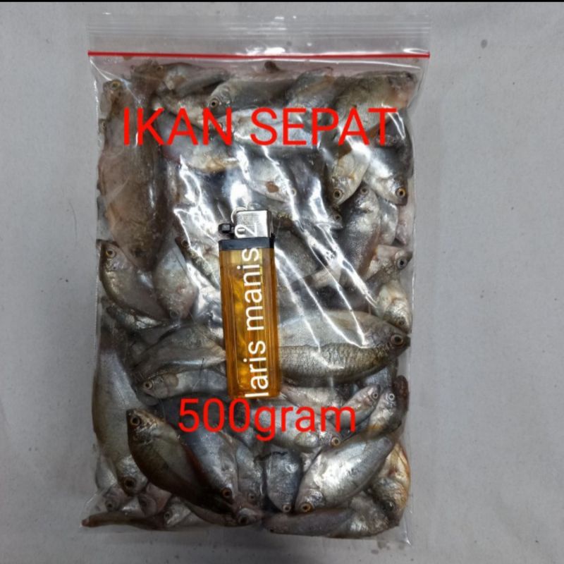 Jual Ikan Sepat Shopee Indonesia