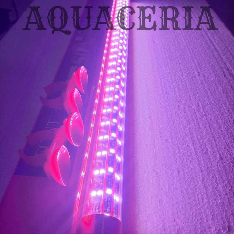 Jual LAMPU LED TANNING AROWANA RECENT SUPER KTK 79 99 119 Jual LAMPU LED TANNING AROWANA RECENT SUPER KTK 79 99 119