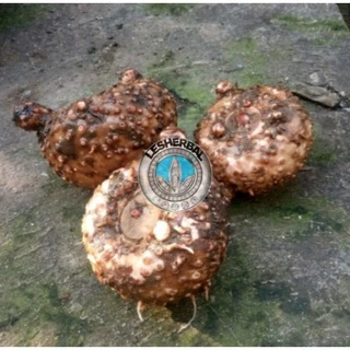 Taksida onlayn jinsiy aloqa