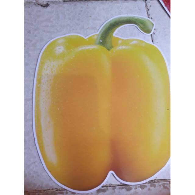 Jual Sticker gantung jumbo | Shopee Indonesia