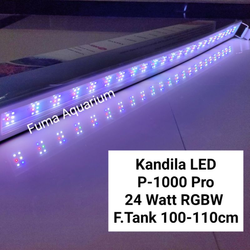 Jual Kandila P Pro Lampu Led Aquarium Cm Cm Rgbw Watt Led Pro Series Shopee