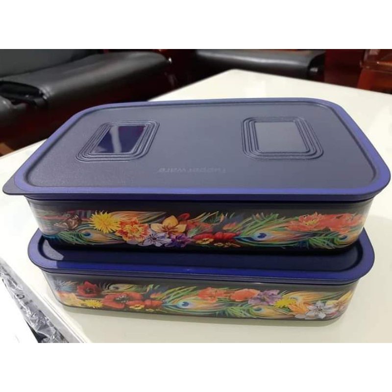 Jual baseline canister wadah kue tupperware | Shopee Indonesia