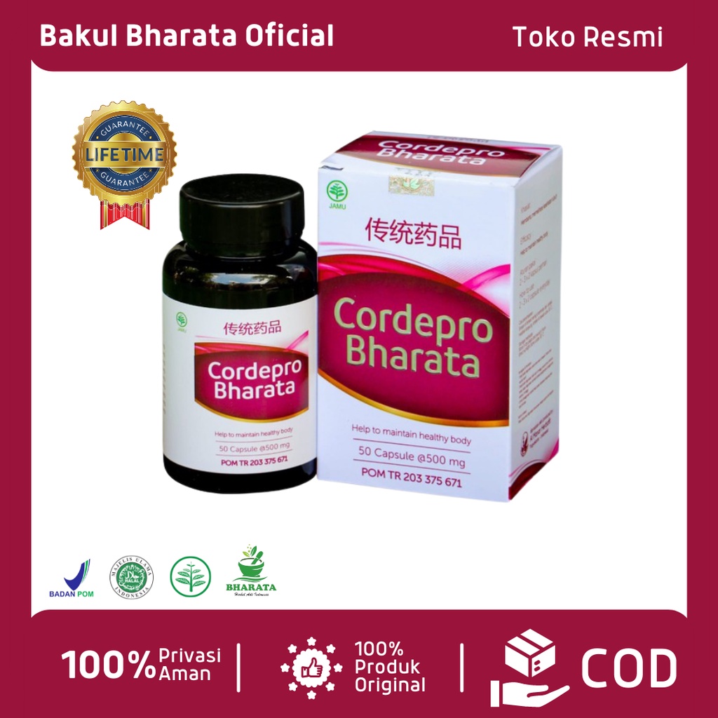 Jual Cordepro Bharata Sistem Pernafasan Bronchitis Menahun Sesak Napas TBC Asma Arthritis