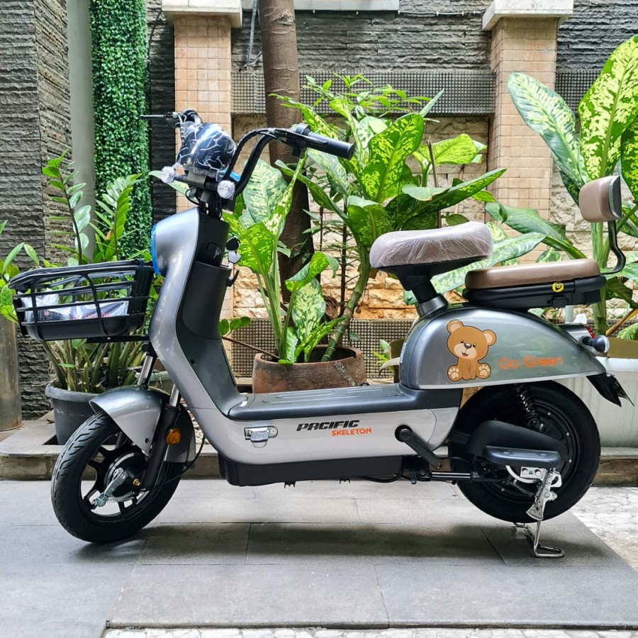 Jual Sepeda Listrik Skeleton Electric Bike Ebike Motor Power 500W By