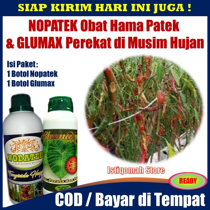 Jual Promo Cod Nopatek Glumax Perekat Di Musim Hujan Fungisida No Patek Obat Cabe Anti Patek