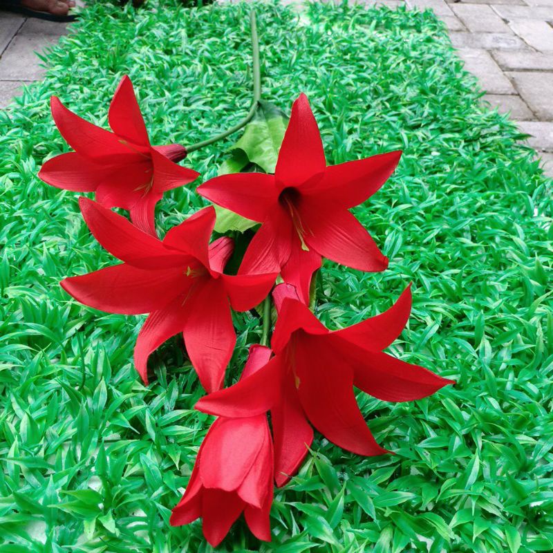 Jual Bunga Lily Artificial Tangkai Panjang Cabang 5 Bunga Lily Plastik Jumbo Bunga Lily 7572