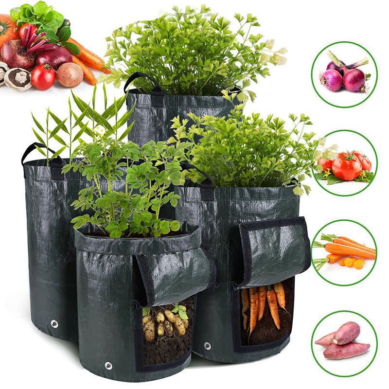 Jual POTATO PLANTER PLENTER BAG EASY GROW PLANTERBAG POT KENTANG JAHE ...