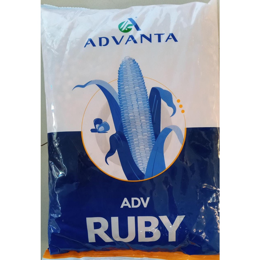 Jual benih jagung hibrida ADVANTA ADV RUBY 1kg exp nov 2023 | Shopee ...