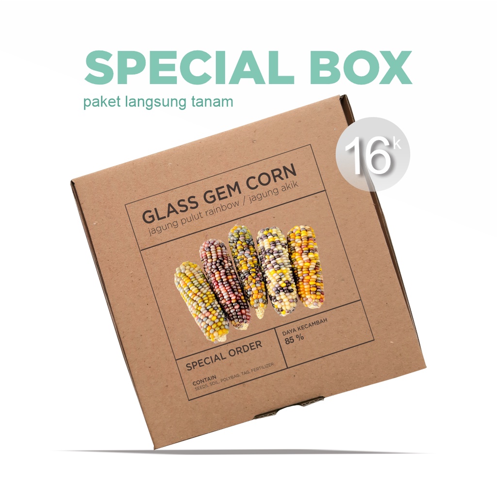 Jual Paket Langsung Tanam Gardening Kit SPECIAL BOX Benih Jagung