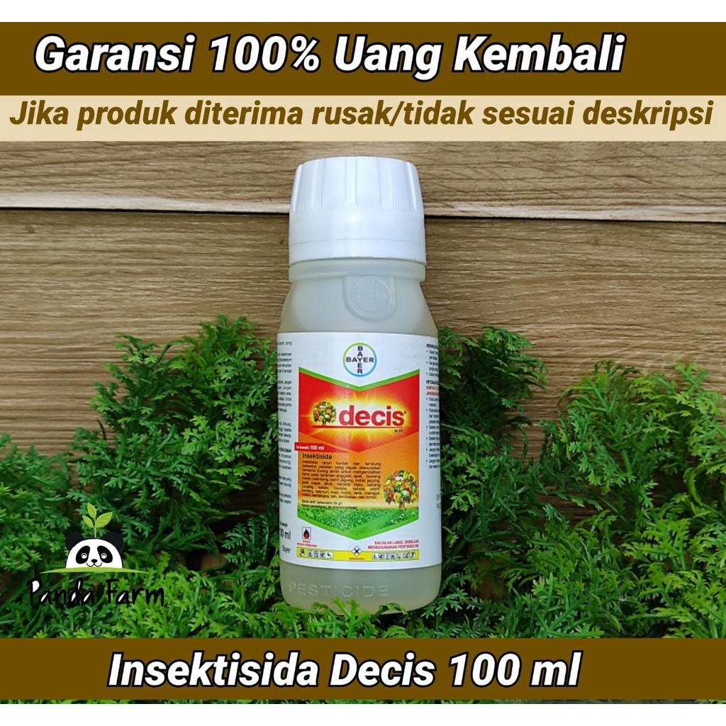 Jual Decis Ec Ml Insektisida Pestisida Obat Pembasmi Hama Bayer