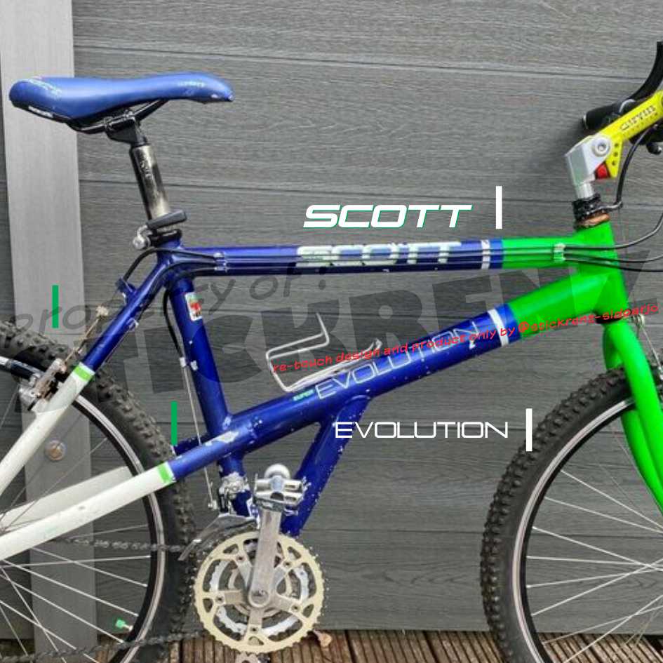 Scott evolution best sale mountain bike